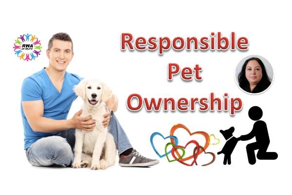 What You Need to Know About Responsible Pet Ownership