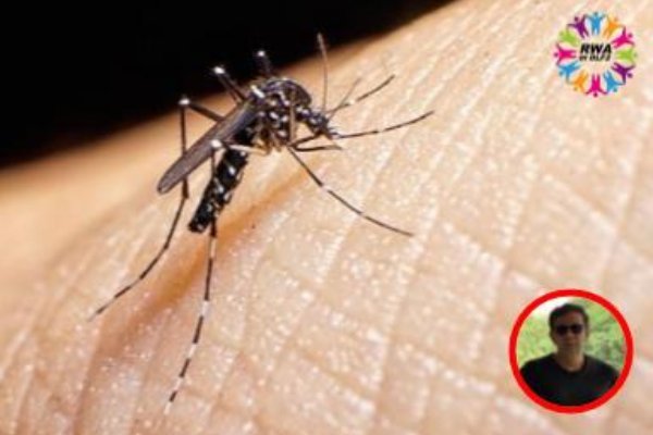 LET’S TALK DENGUE!